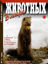 В мире животных/ World of Animals