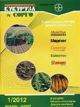 Кукуруза и сорго
